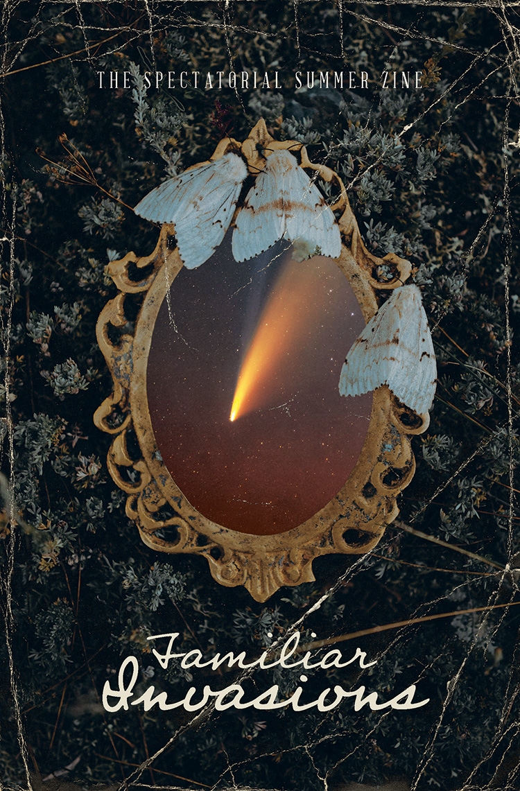 spectatorial volume ten cover